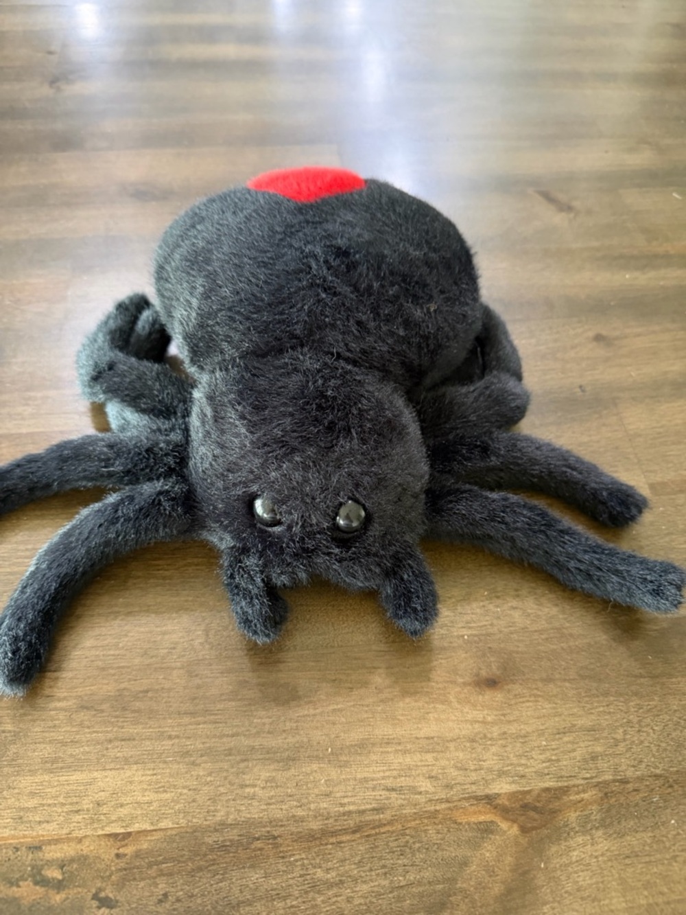 Spider Black and Red 10" Plush #260906 - Picture 6 of 8